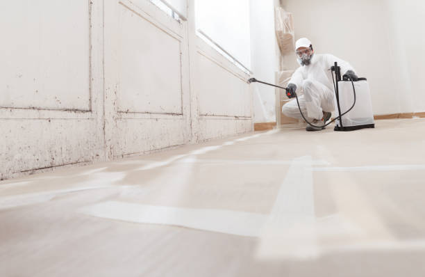 24/7 Emergency Mold Removal experts in Trenton, NJ